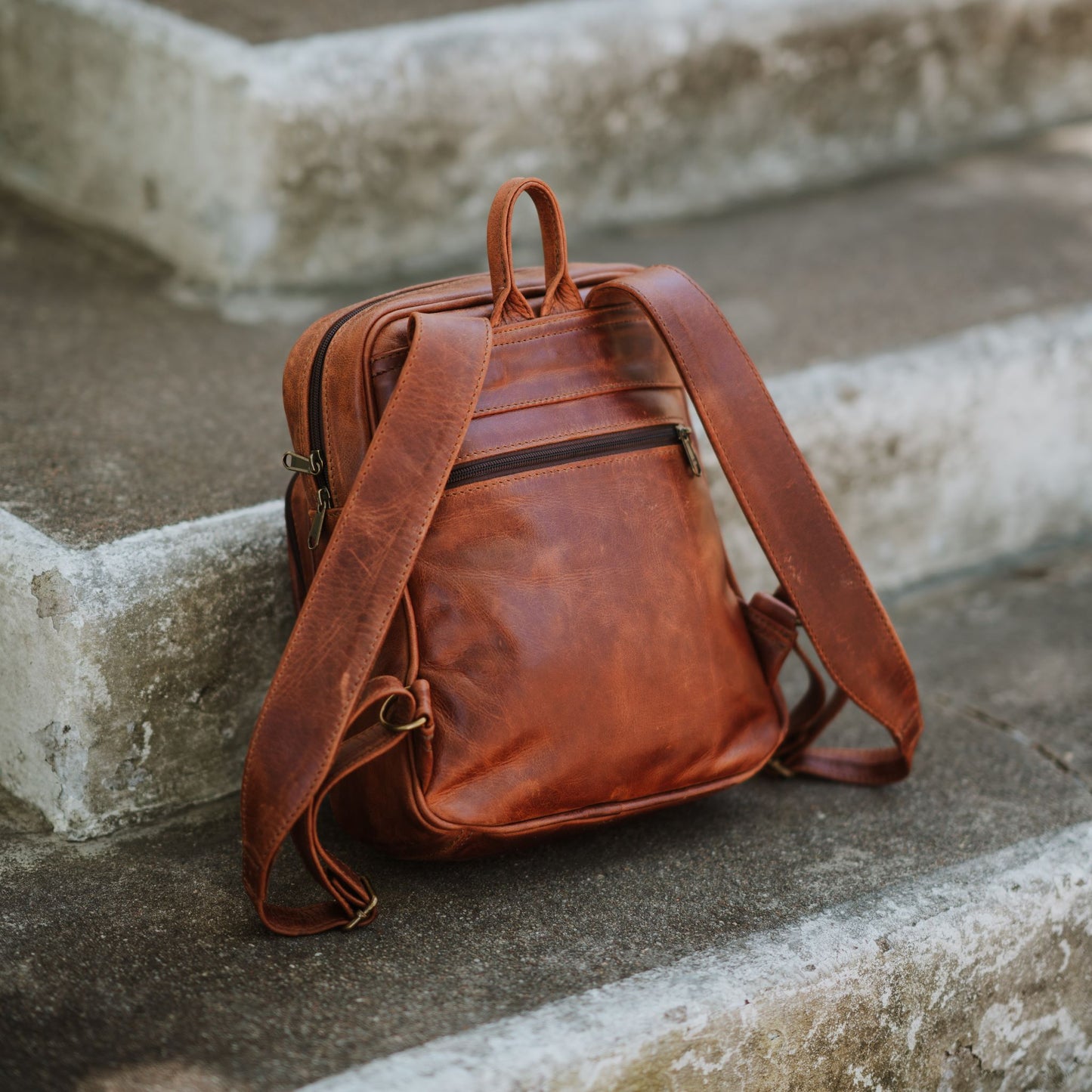 Back view of the small leather backpack, showcasing the back zip pocket, shoulder straps and handle.